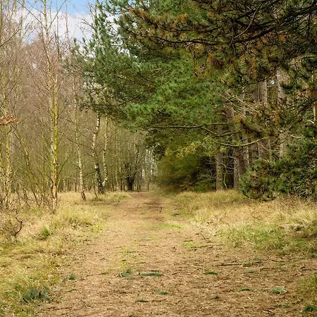 Holiday home Summer House In The Middle Of The Forest Store Fuglede